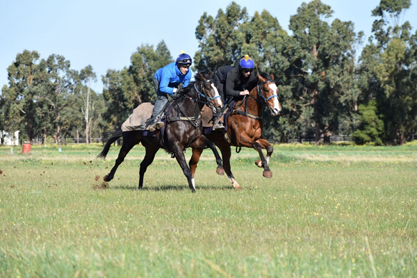 Patrick Payne Racing provides a variety of stabling options to suit all ...