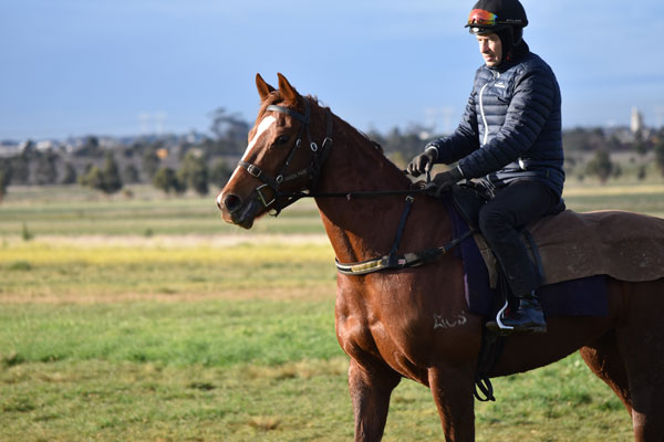 Patrick Payne Racing provides a variety of stabling options to suit all ...